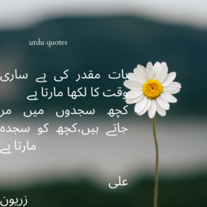 urdu quotes